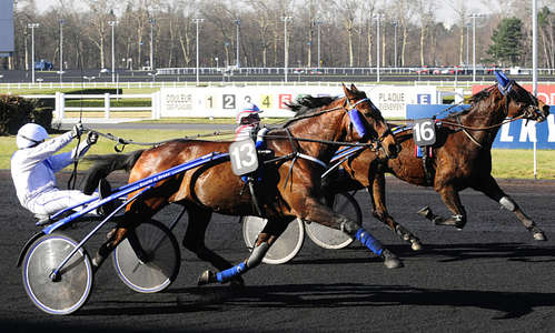 Actualités Hippiques
